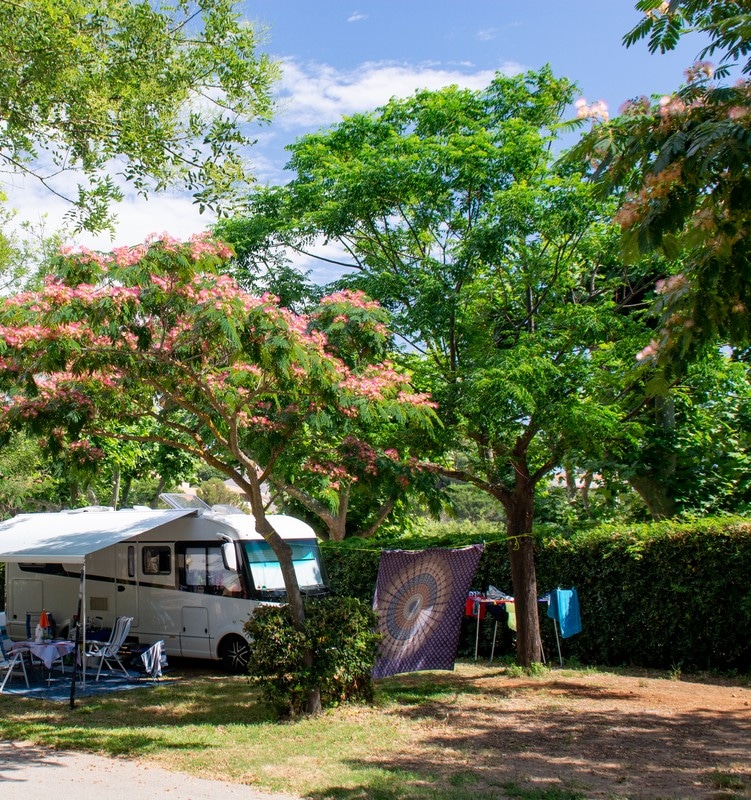 Camping Campasun Le Paradis Des Campeurs : Emplacement (21)