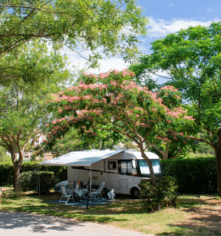 Camping Le Paradis Des Campeurs : Design Sans Titre 4
